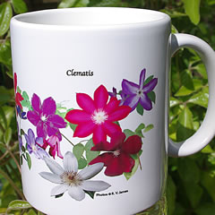 mug DS-119 Cascade of Clematis